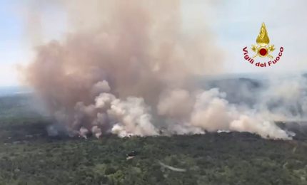 Vasto incendio devasta il Carso