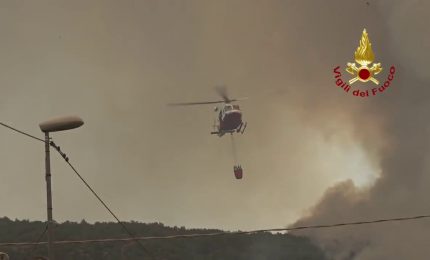 Pompieri, Protezione Civile e Forestale per incendio sul Carso