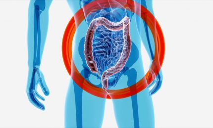 Intestino, l'importanza della varietà dei microrganismi