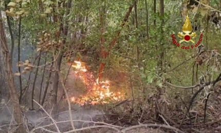 Incendio sul Monte Arsiccio, vigili del fuoco all'opera