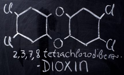 Con l'incendio di Bellolampo nell'aria diossine e policlorobifenili, sostanze tossiche con effetti deleteri a concentrazioni bassissime
