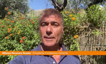 Pecoraro Scanio "Bene pentimento Berlusconi su alberi"