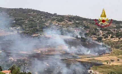 Incendi nel Palermitano, in azione i vigili del fuoco e 5 canadair