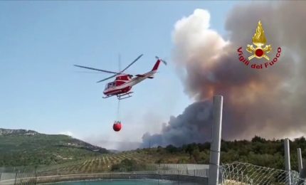 Incendio boschivo nel triestino, Canadair anche dalla Slovenia