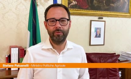 Patuanelli "M5S non sta bloccando il decreto Aiuti"