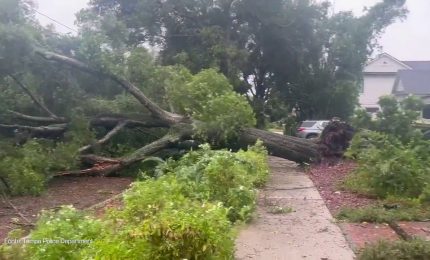 Uragano in Florida, un albero finisce sui cavi della linea elettrica