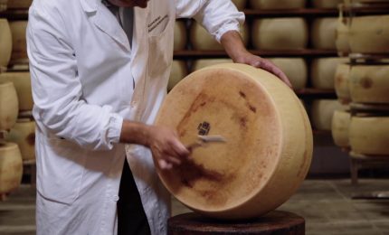 Parmigiano Reggiano, vendite in crescita nei primi 9 mesi del 2022