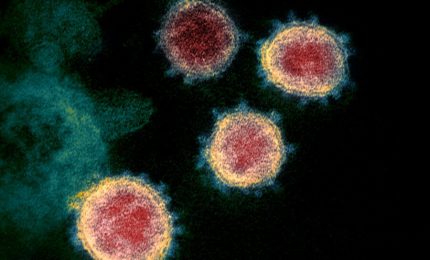 La Boston University ha sviluppato un nuovo ceppo di virus responsabile del Covid più letale