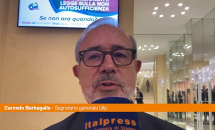 Pensioni, Barbagallo "Servono adeguamenti"