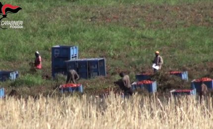 Caporalato nel foggiano, arresti e sequestro