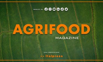 Agrifood Magazine - 23/11/2022