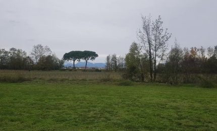 A Udine nasce un bosco urbano da oltre 3 mila piante