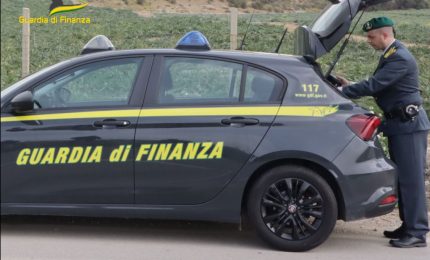 Traffico di droga tra Calabria e Messina, 54 arresti