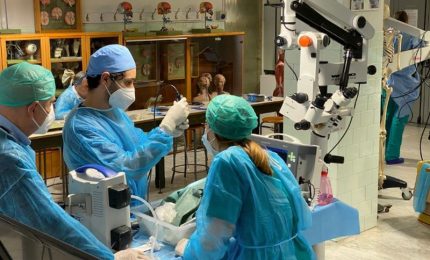 Cadaver Lab, a Palermo nuovi corsi per la formazione chirurgica