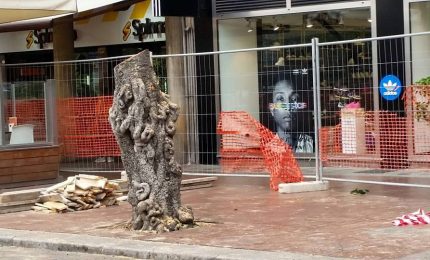 La Terra si surriscalda ma a Palermo sono freschi come quarti di pollo e 'gozzovigliano' con gli appalti miliardari di Tram, Pedomontana, Centro direzionale...