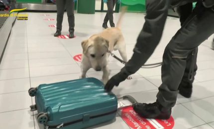 Sequestrati più di 4 mila farmaci illegali all'aeroporto di Bologna