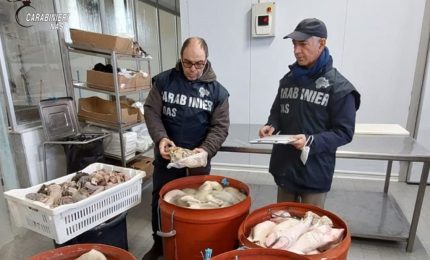 Sequestrata una tonnellata di carne a Palermo, sanzioni da 11.500 euro