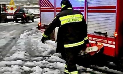 Sicilia in ginocchio per il maltempo, a Palermo cade grosso albero