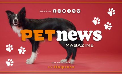 PetNews Magazine - 21/2/2023