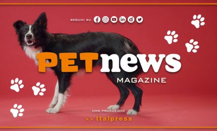 PetNews Magazine - 28/2/2023