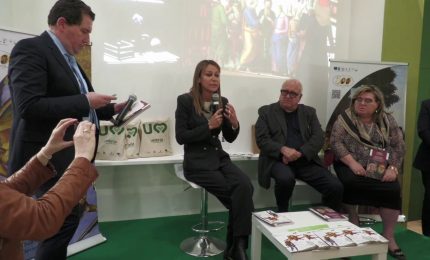 Perugino e Signorelli, al Vinitaly la guida sui due grandi artisti