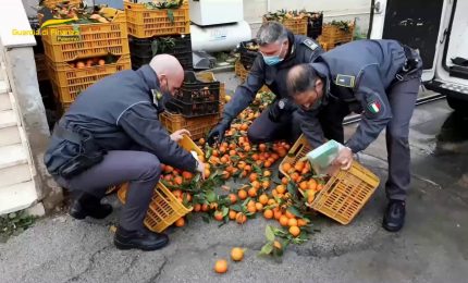 Sgominata banda dedita al traffico di droga tra Calabria e Sicilia