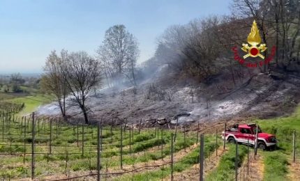 San Colombano al Lambro, incendio nel sottobosco. Lambite abitazioni