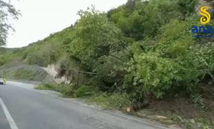 Il fiume Lamone in piena a Mezzano, le immagini