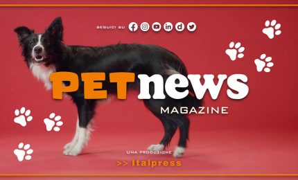 PetNews Magazine - 2/5/2023