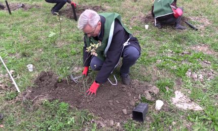 Al via progetto di riforestazione da Torino