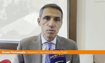 Pentassuglia "Con accordo tra Puglia e città Giappone scambio forte"