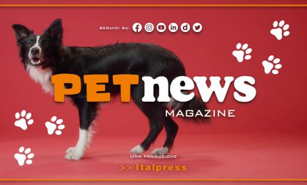 PetNews Magazine - 21/11/2023