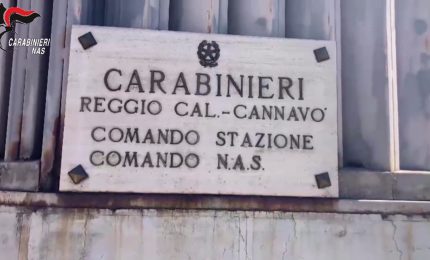 Reggio Calabria, sequestro di salumi e carne per due tonnellate