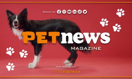 PetNews Magazine - 7/11/2023