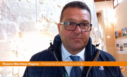 Ragona "La coltivazione del sale diventi attività agricola"