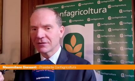 Ambiente, Giansanti "Nuovo protagonismo dell'agricoltura è possibile"