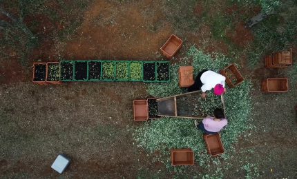 Il turismo delle radici volano per l'agroalimentare