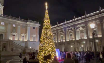 In Piazza del Campidoglio l'Albero dedicato alla Costituzione