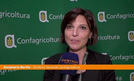 Agricoltura, Barrile "Oltre a crescita anche responsabilità sociale"