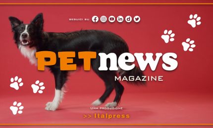 PetNews Magazine - 2/1/2024