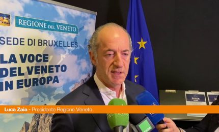 Zaia "Giuste le proteste, ma evitare guerra tra agricoltori"