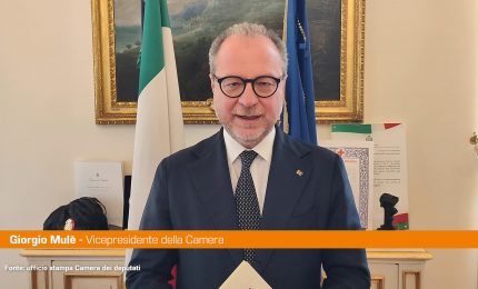 Mulè "L'antisemitismo è un cancro"