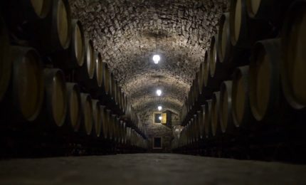 Vino, 2023 sottotono ma l'export tiene