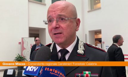 Carabinieri Forestali di Calabria e Sicilia presentano bilancio 2023