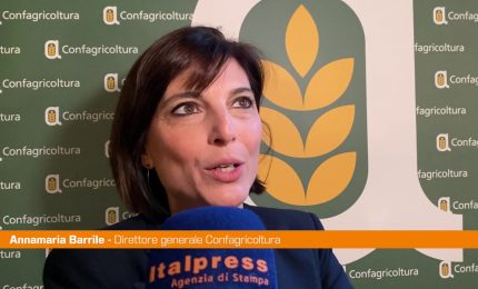 Agricoltura, Barrile "Perno per crescita e inclusione sociale"