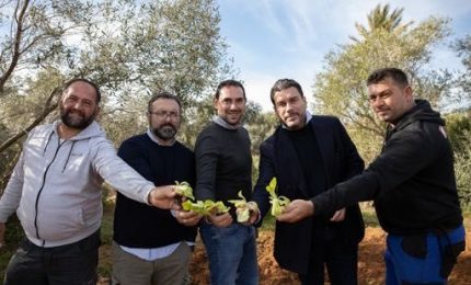 Vola oltreoceano “Efebo Sicily”, il sigaro dal gusto siciliano