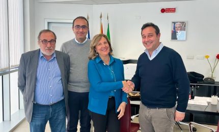 Policlinico di Palermo, Camarda nominato direttore dell’unità di Ortopedia