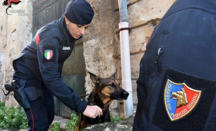 Palermo, 25 chili di droga sequestrati e 6 arresti