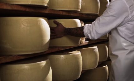 Parmigiano Reggiano a Taste, al via le celebrazioni per i 90 anni