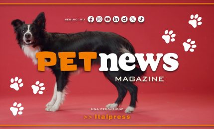 PetNews Magazine - 6/2/2024